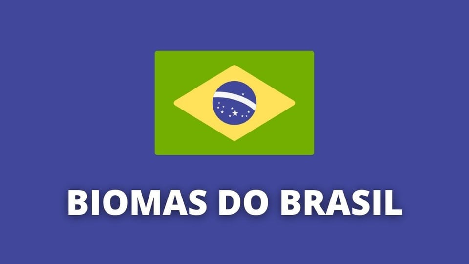 Biomas brasileiros: tipos e principais características